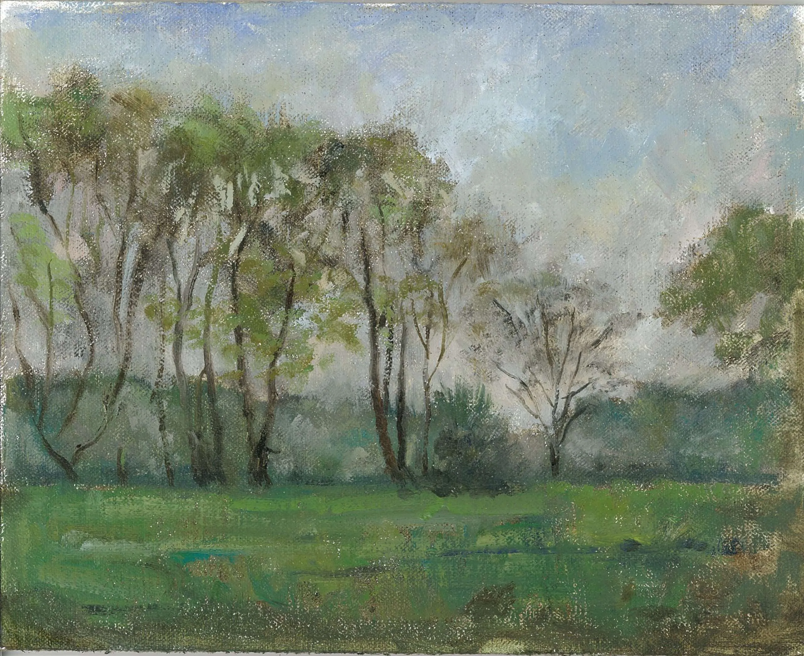 Ann Witheridge, landscape, trees